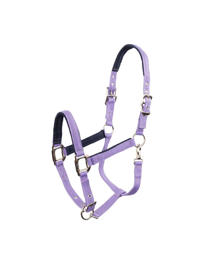 Anky Halter Paisley Purple